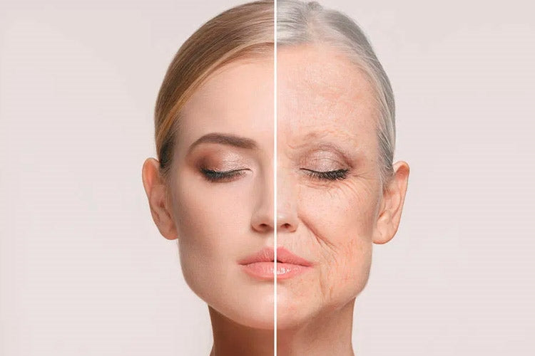 Tipos de Envejecimiento Cutáneo y sus Cuidados